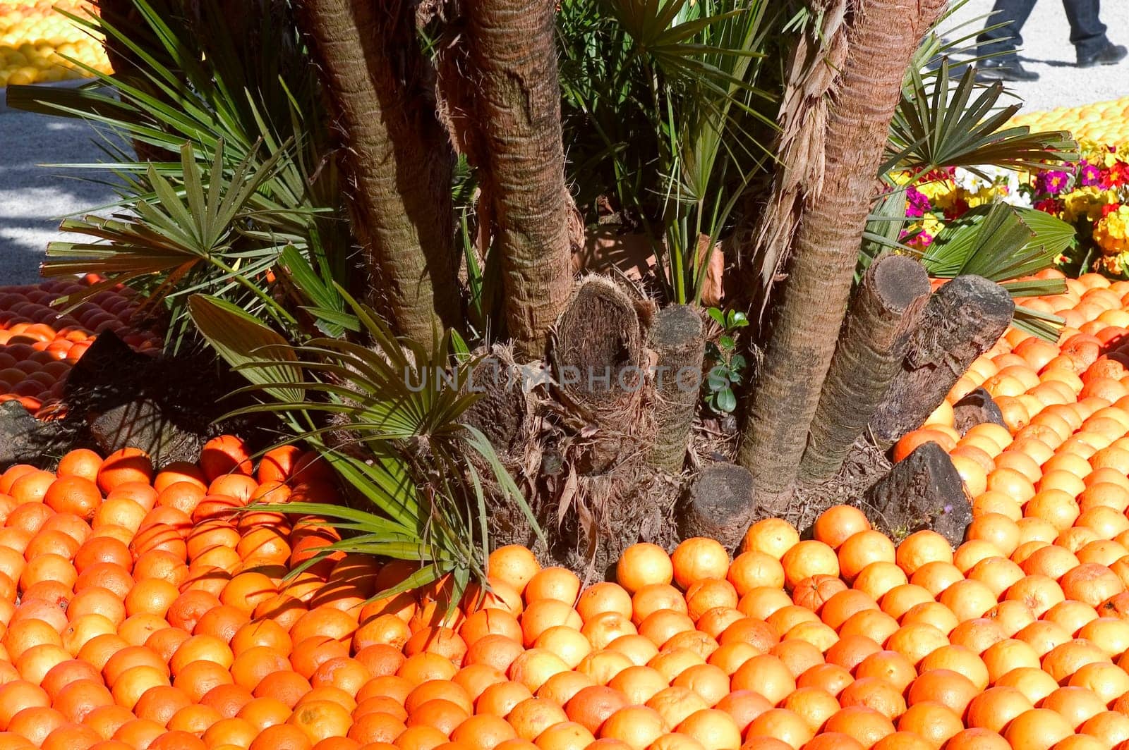 With this occasion the gardens are the theater of construction of monument out of oranges and lemons on a different topic each years.