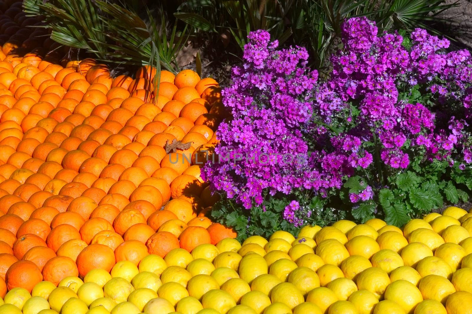 With this occasion the gardens are the theater of construction of monument out of oranges and lemons on a different topic each years.