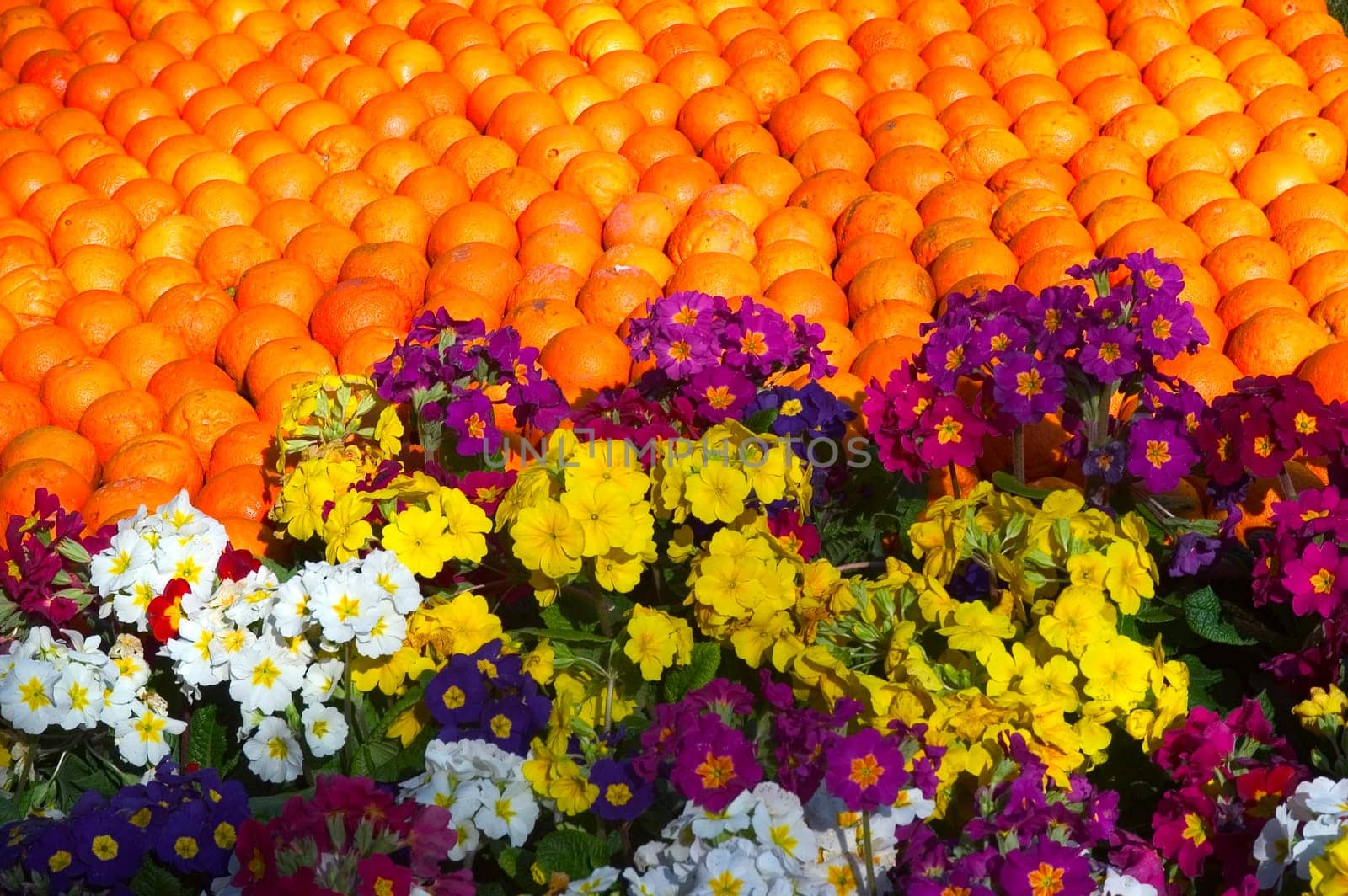 With this occasion the gardens are the theater of construction of monument out of oranges and lemons on a different topic each years.