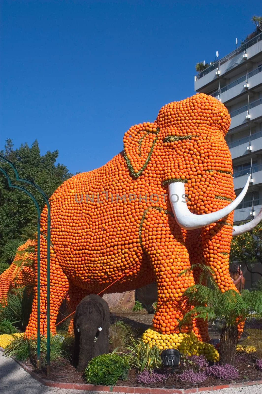 With this occasion the gardens are the theater of construction of monument out of oranges and lemons on a different topic each years.
