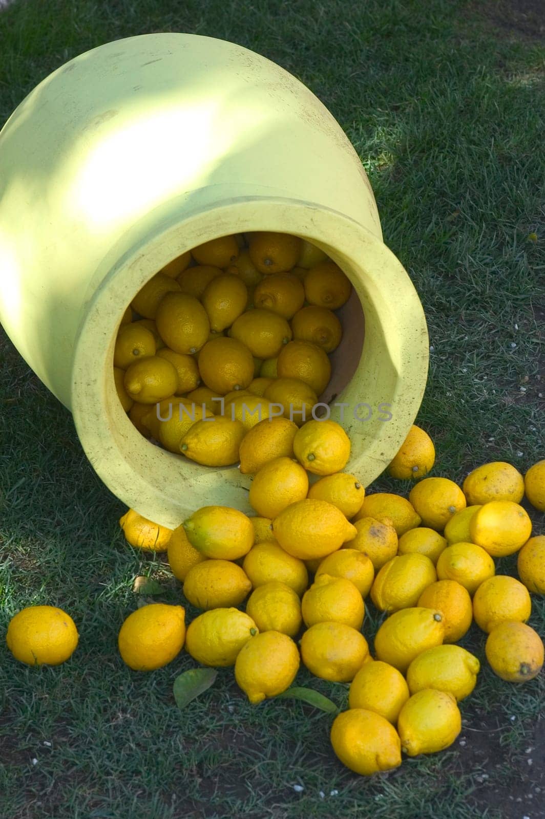 With this occasion the gardens are the theater of construction of monument out of oranges and lemons on a different topic each years.