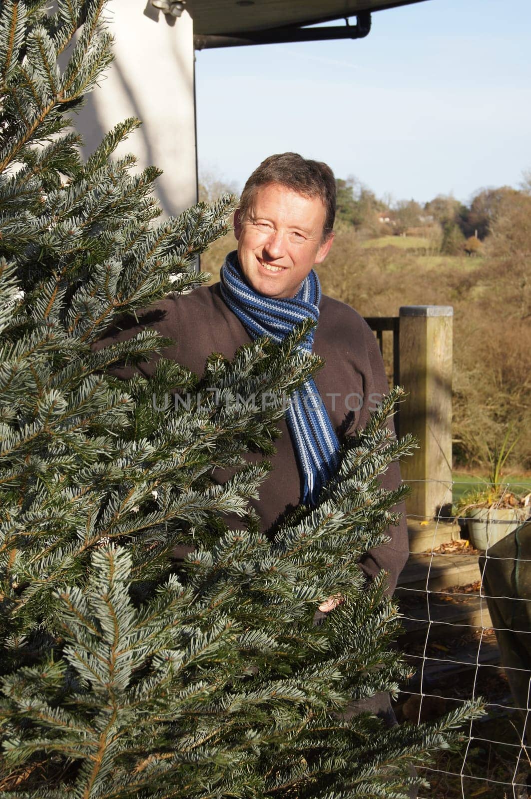 Man bringing in the freshly cut Christmas tree