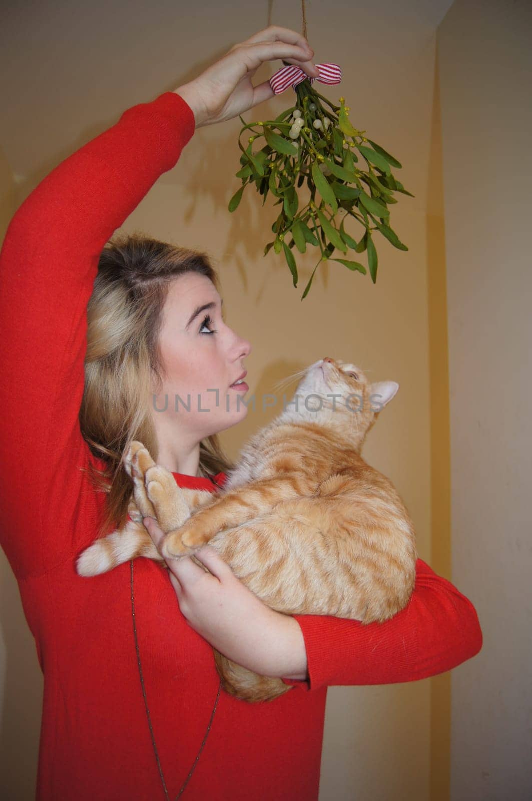 Girl and her pet cat under the mistletoe