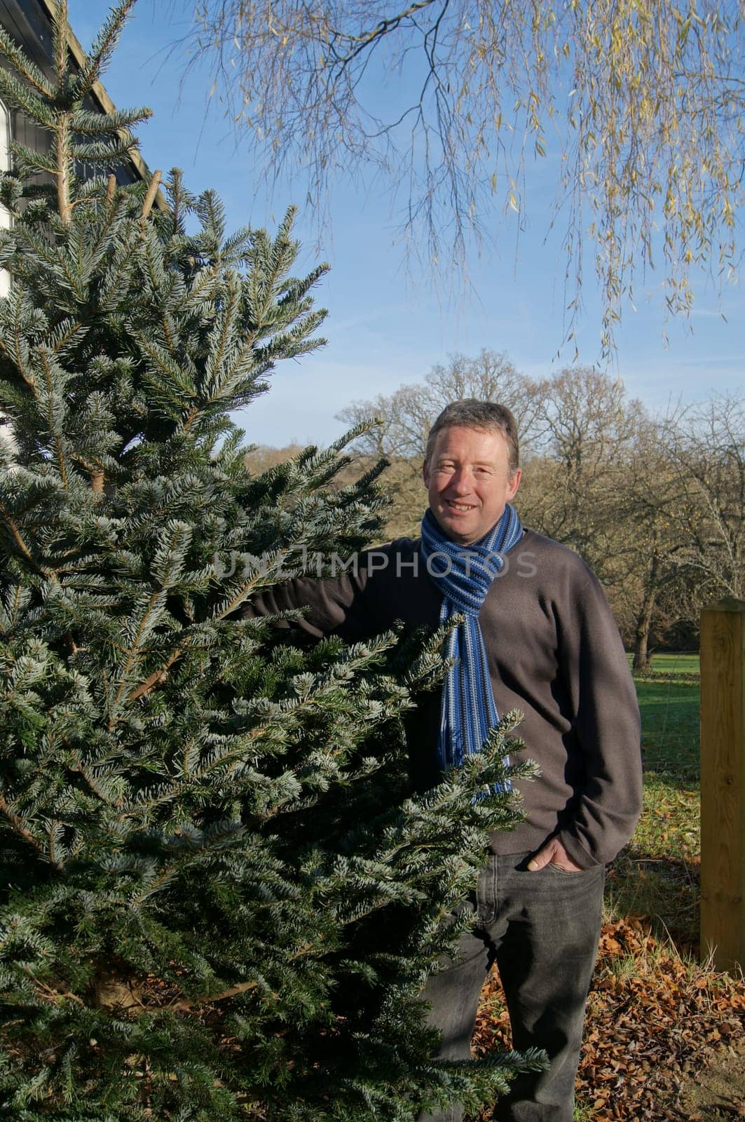 Man bringing in the freshly cut Christmas tree