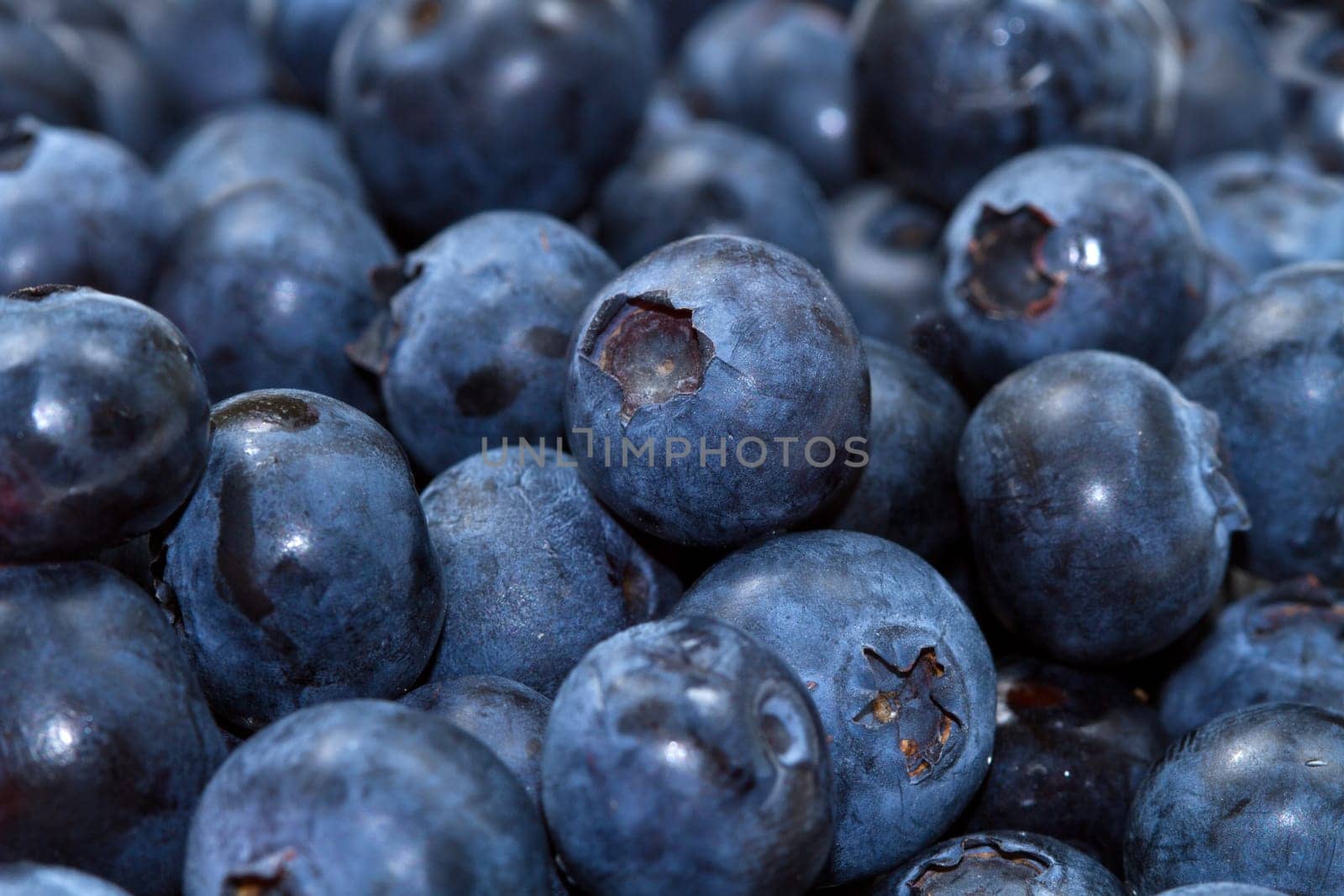 fresh blueberries background