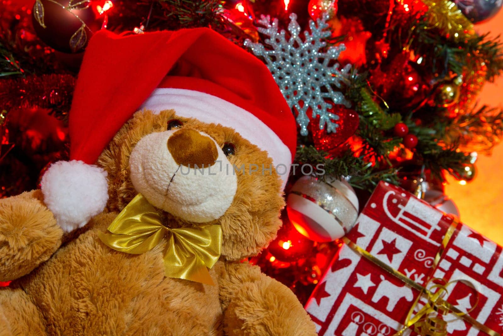 Gifts under the tree for Christmas day