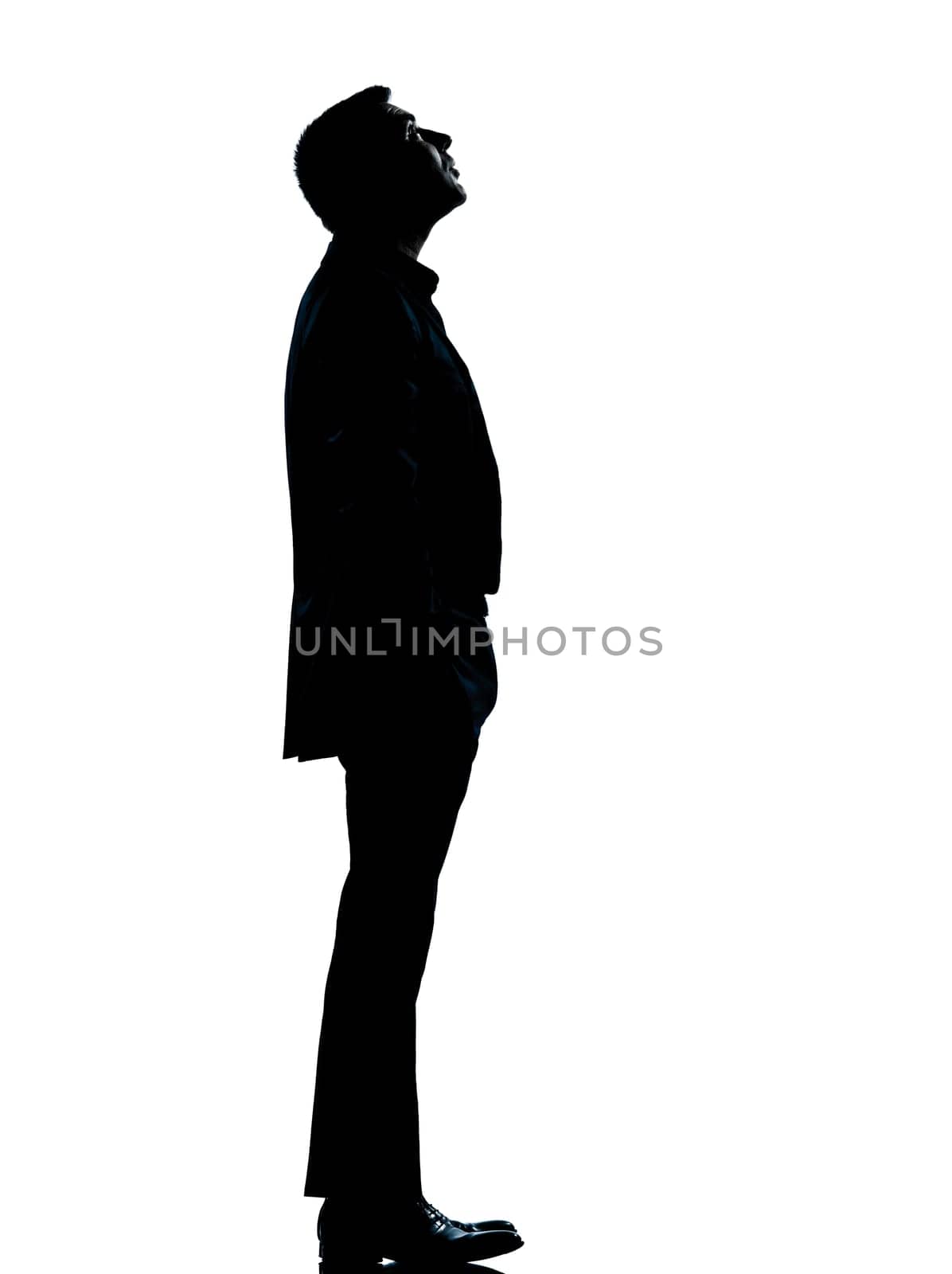 one caucasian business man silhouette standing looking up Full length in studio isolated on white background