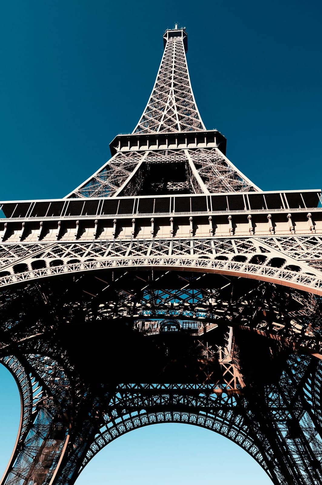 View at Eiffel Tower from the Champ de Mars (Field of Mars)