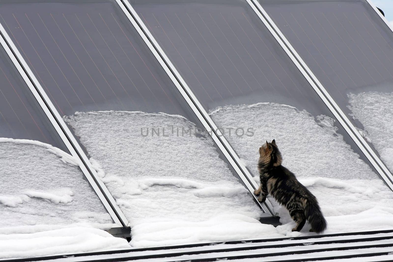 Does the solar system also work in winter?