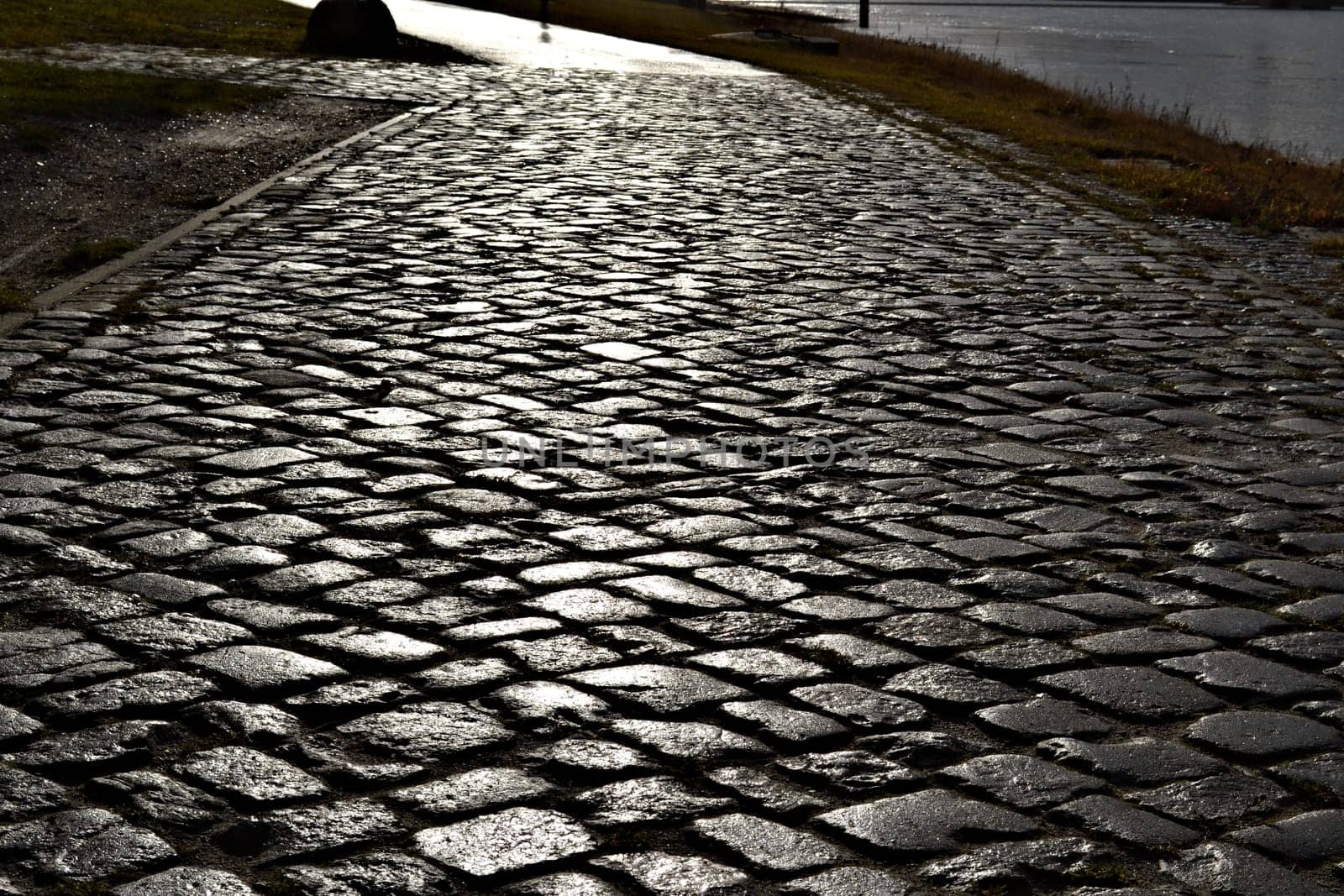 Village street on the Elbe near Hohenwarthe