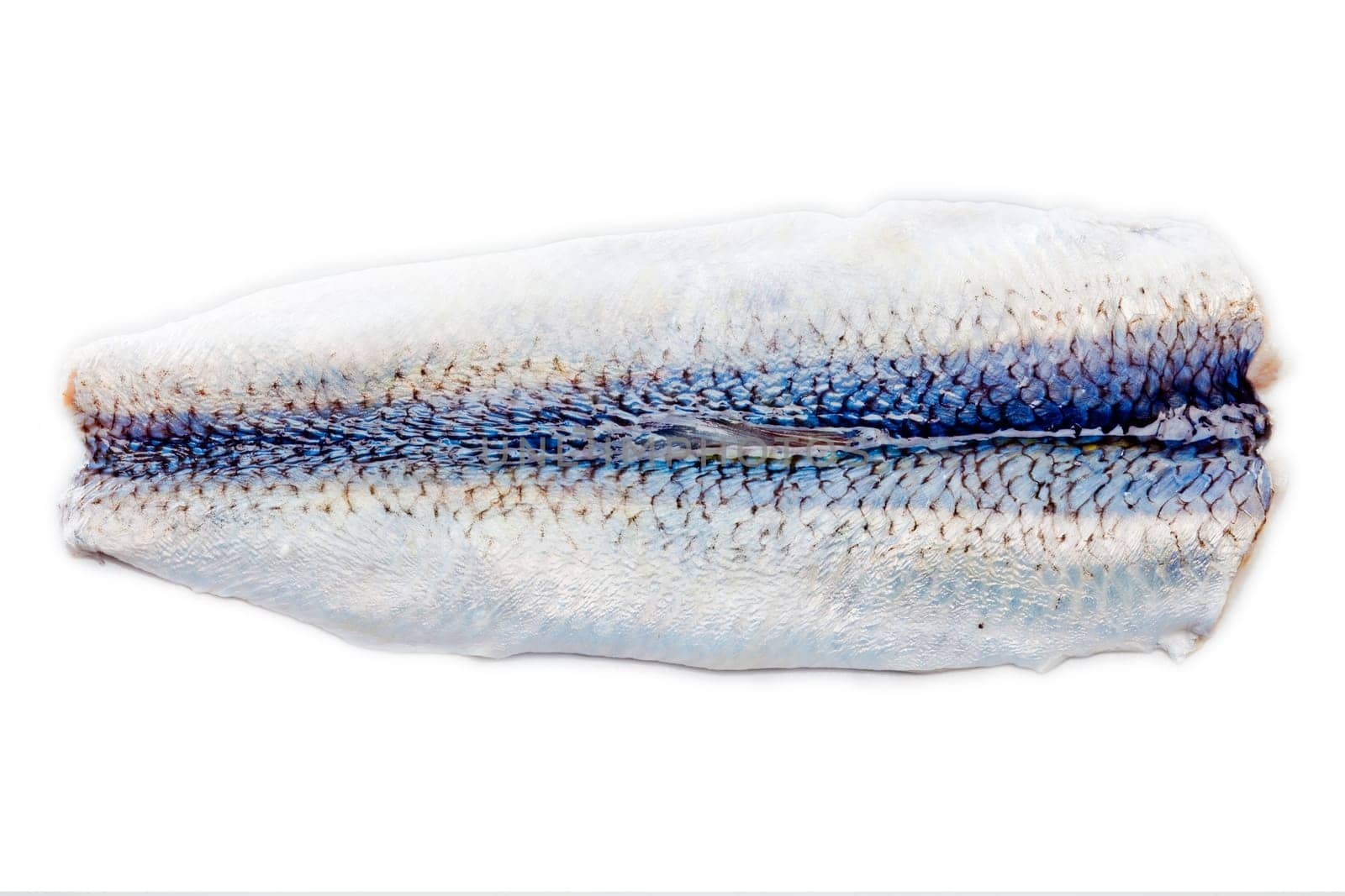 an isolated slice herring
