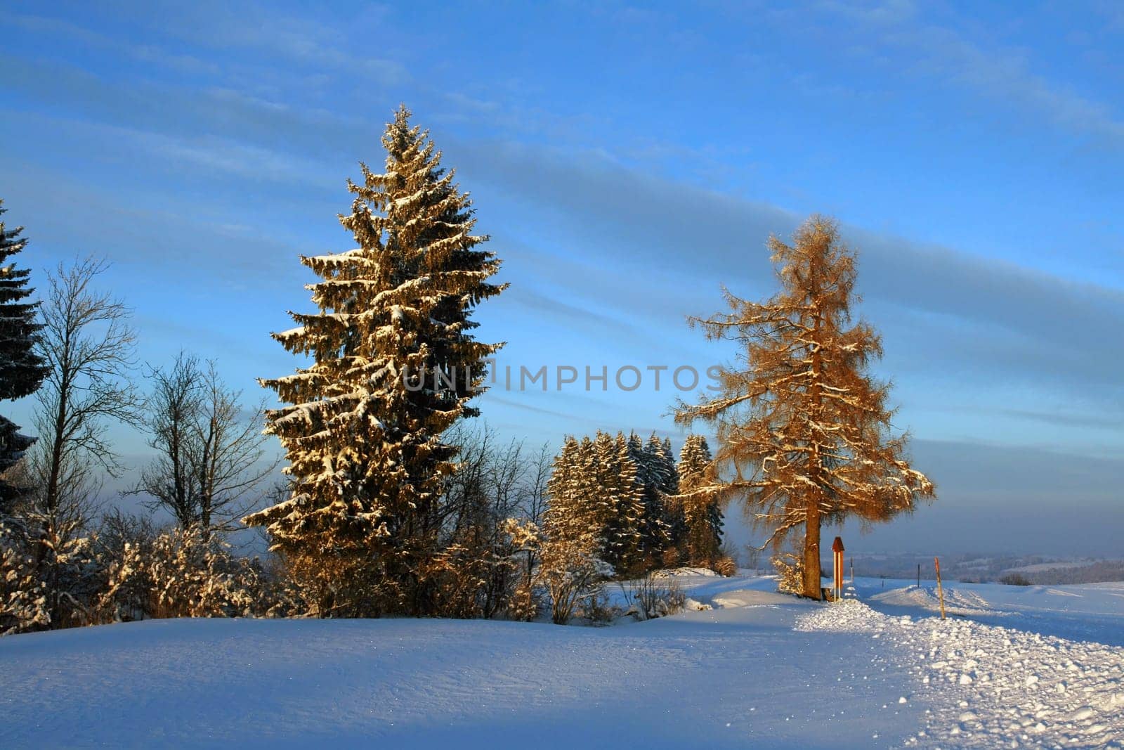 Winter evening sun