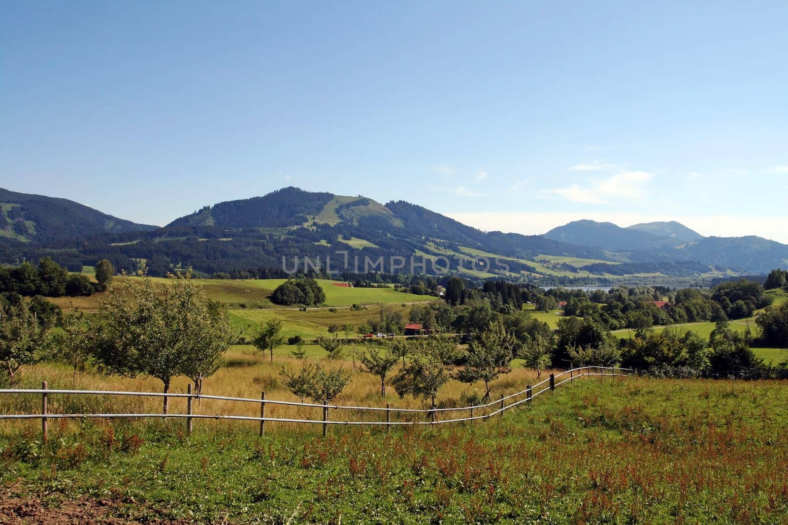 The meadows in front of the Allgäu Alps