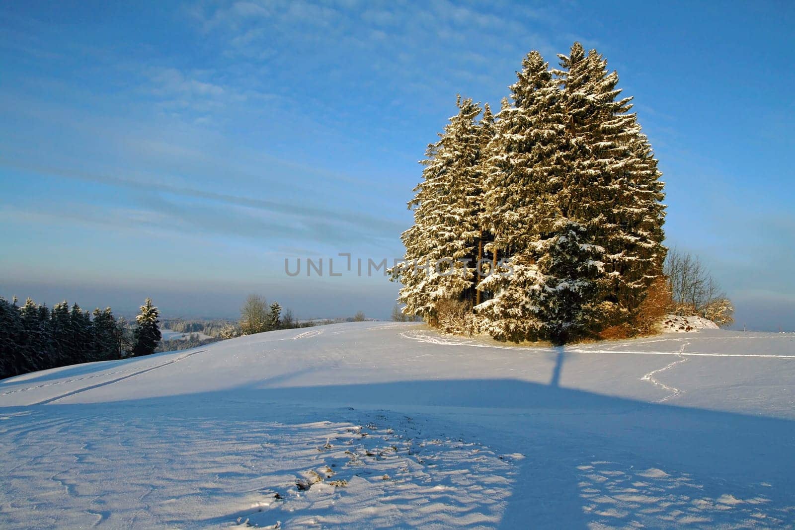 Winter evening sun