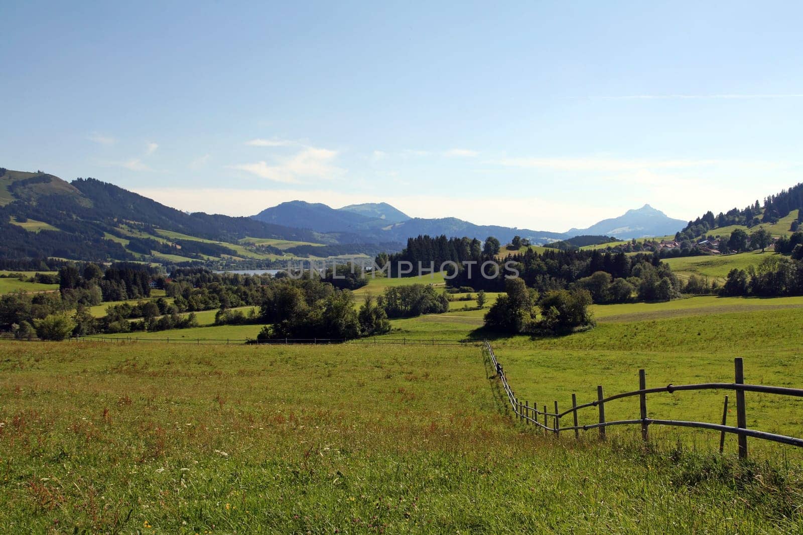 Across the meadows to the Grüntensee