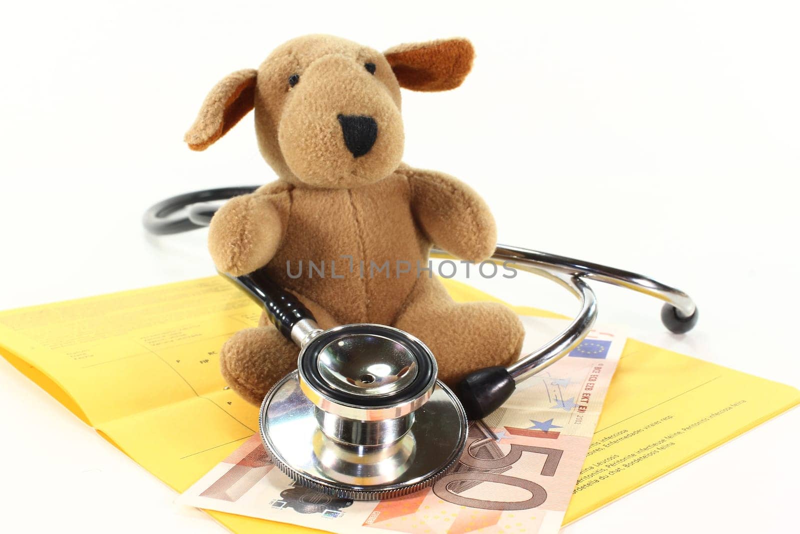 a stuffed dog with stethoscope and euros