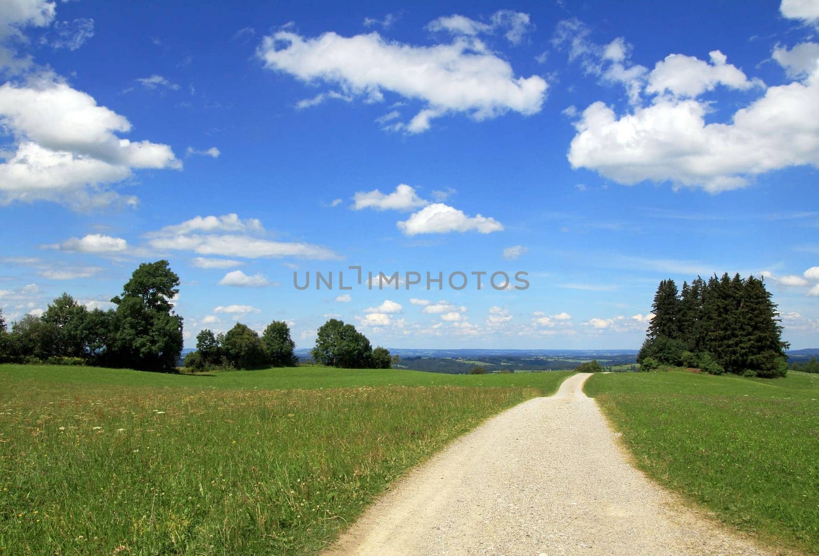 Where the path may lead us