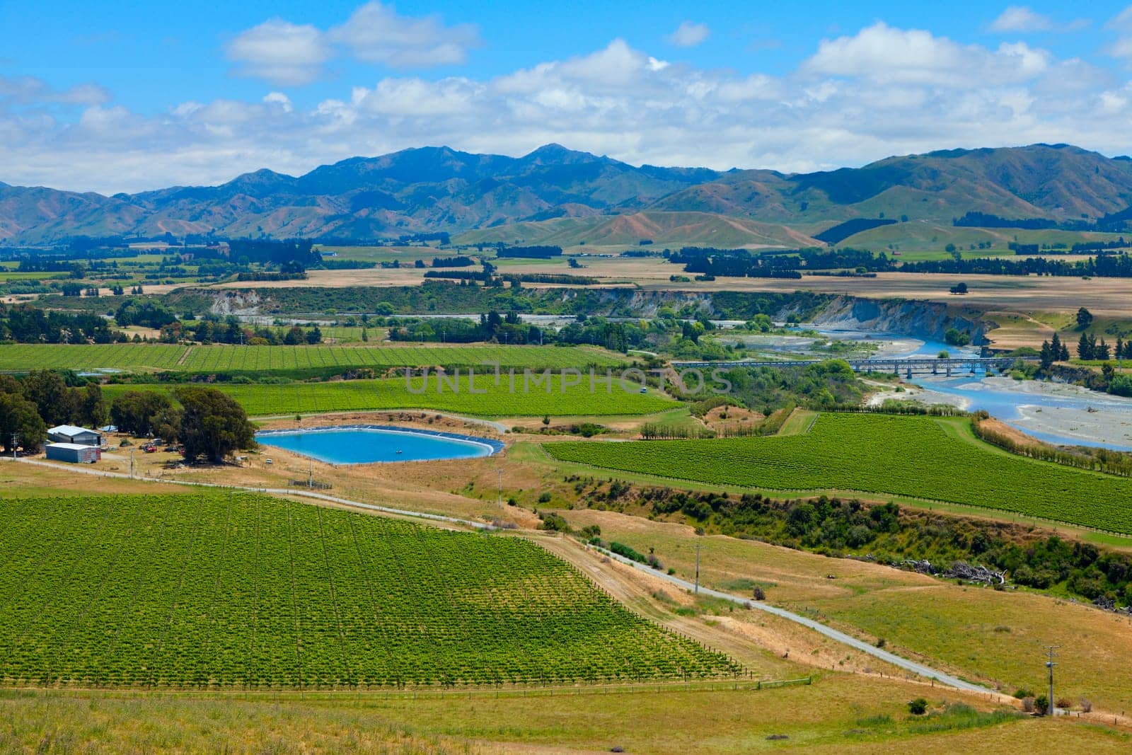 Scenic view of Marlborough wine region in the South Island of New Zealand