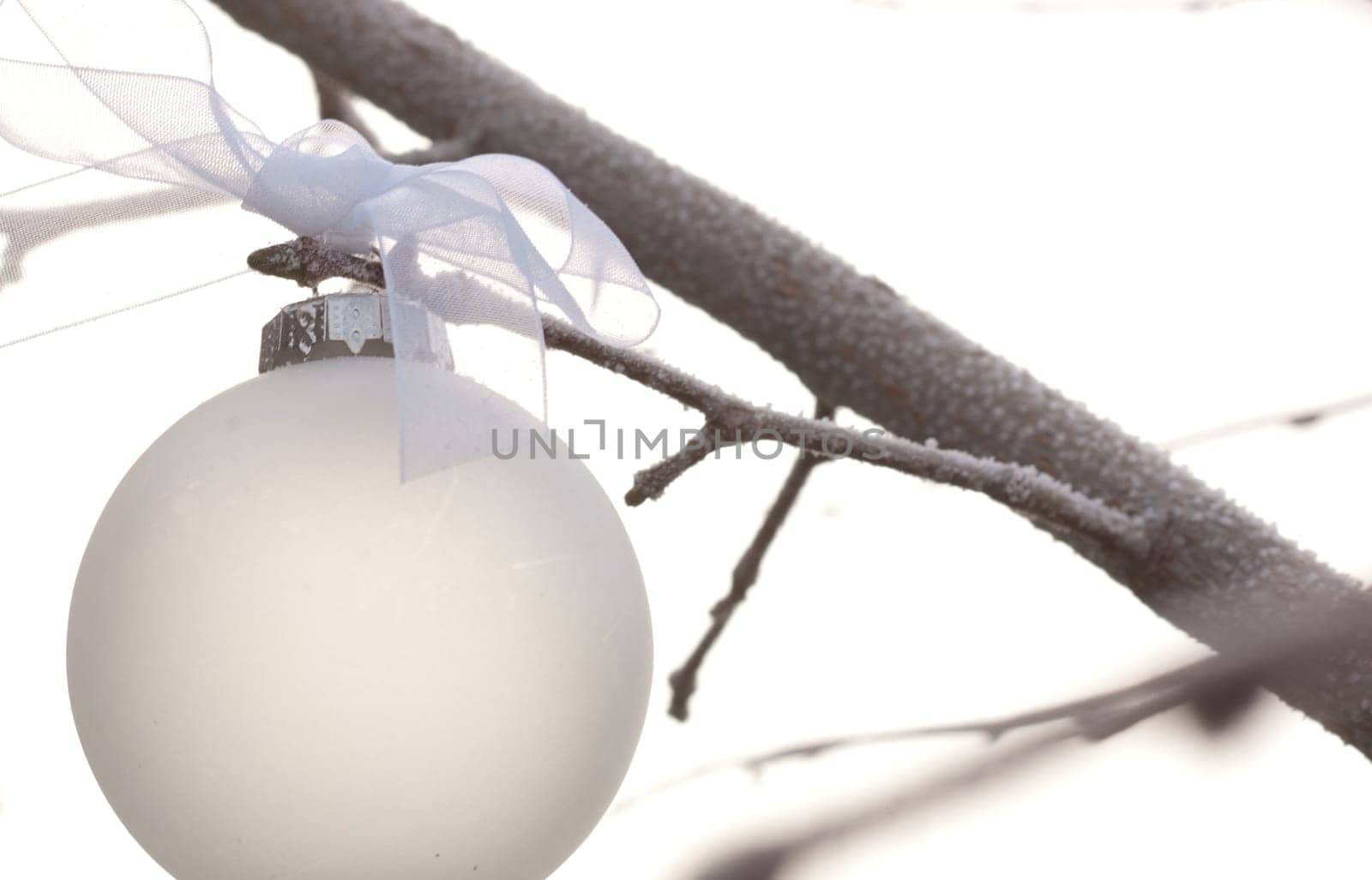 white christmas ornament hanging on a tree branch with white ribbon