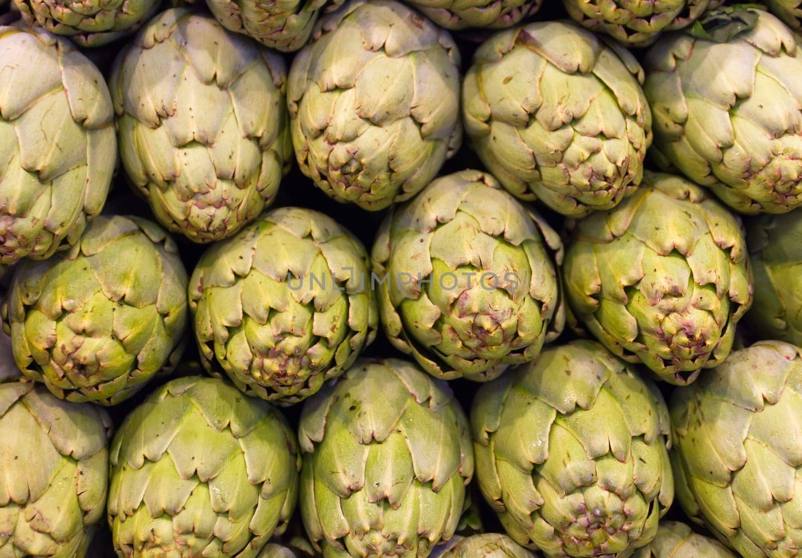 Freshly picked artichokes on display at the farmers market Boqueria, Barcelona.