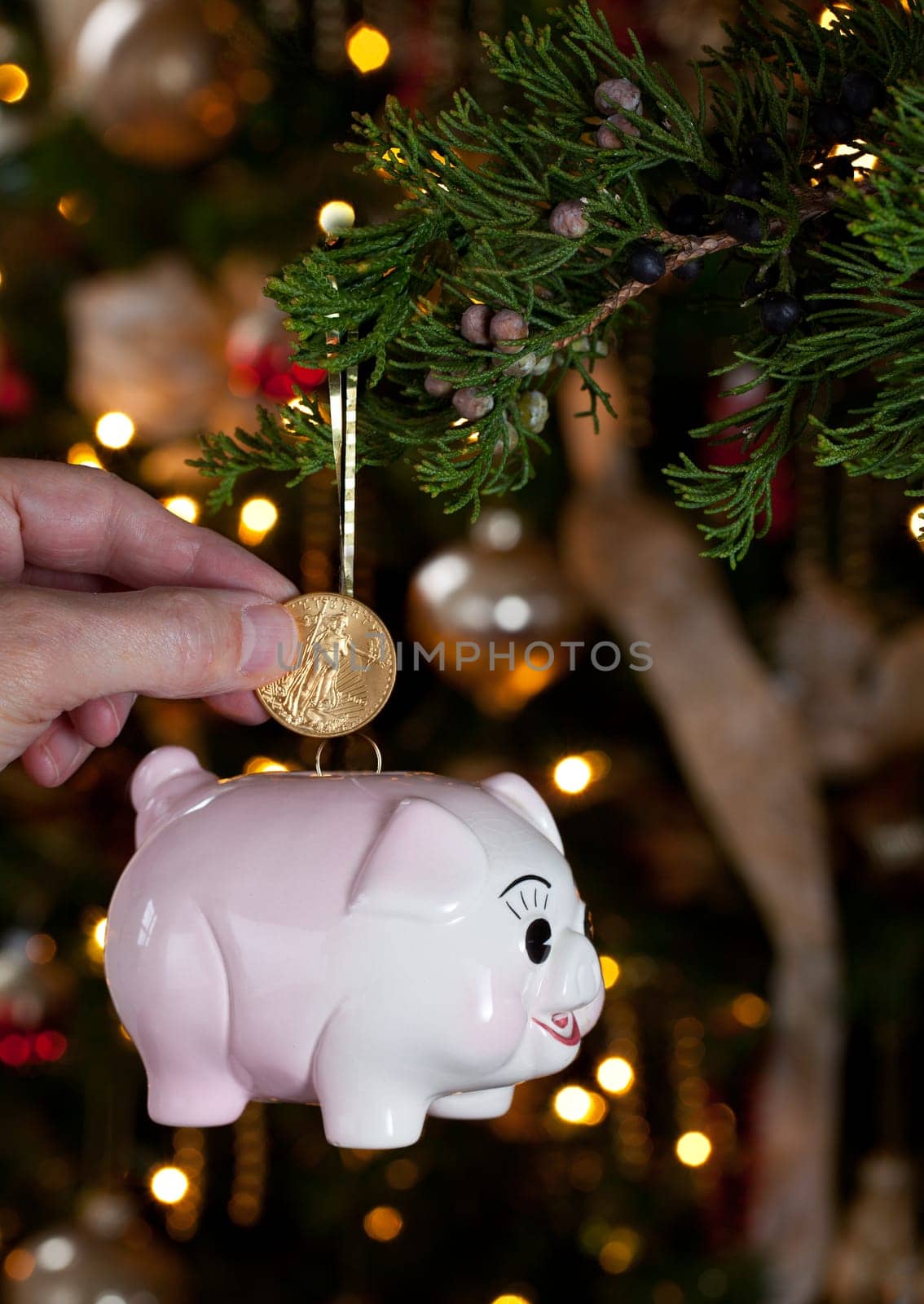 Pink piggybank hanging from branch of christmas tree with a hand putting a gold coing into the savings bank
