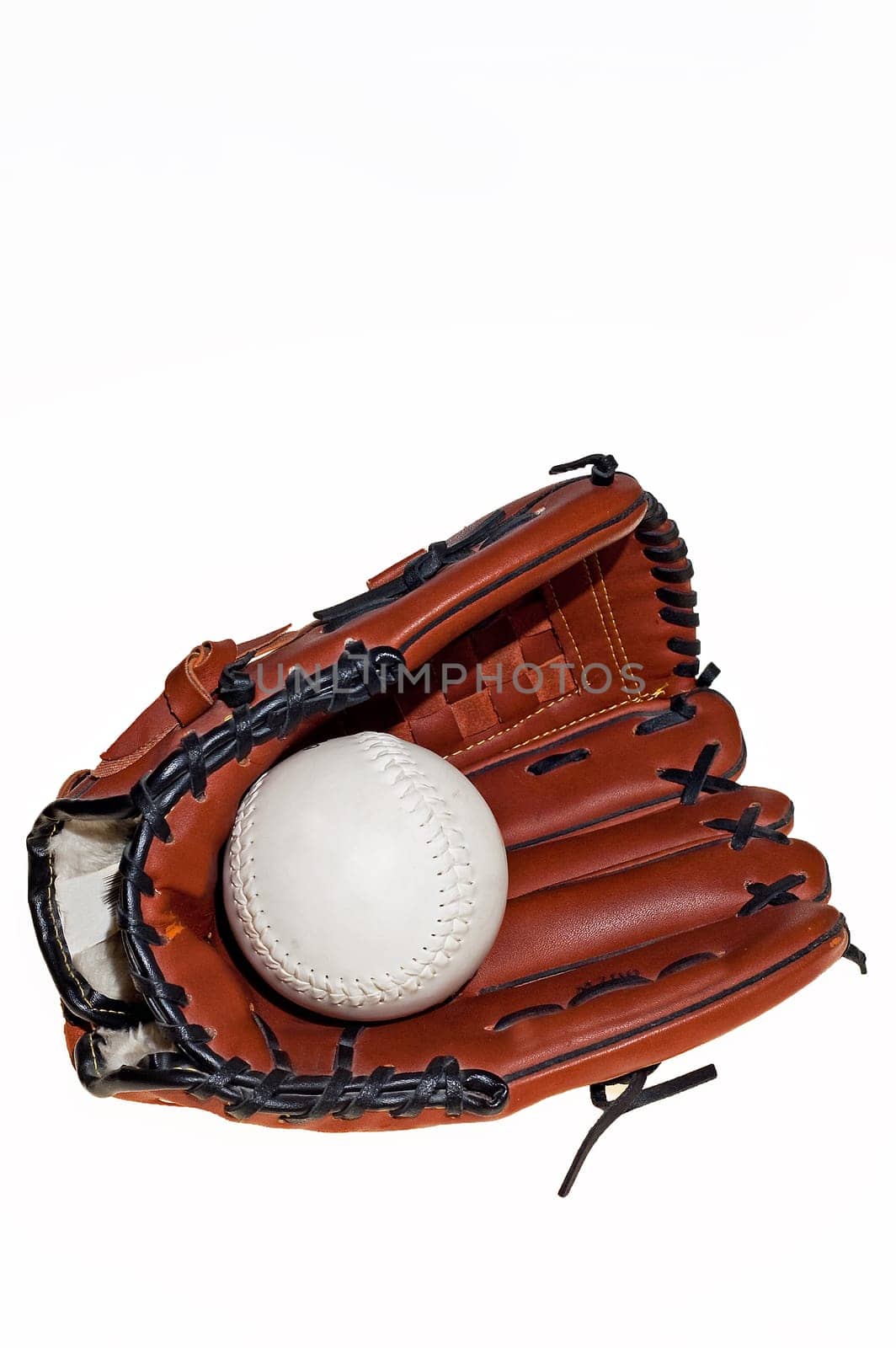The baseball glove  on the white background