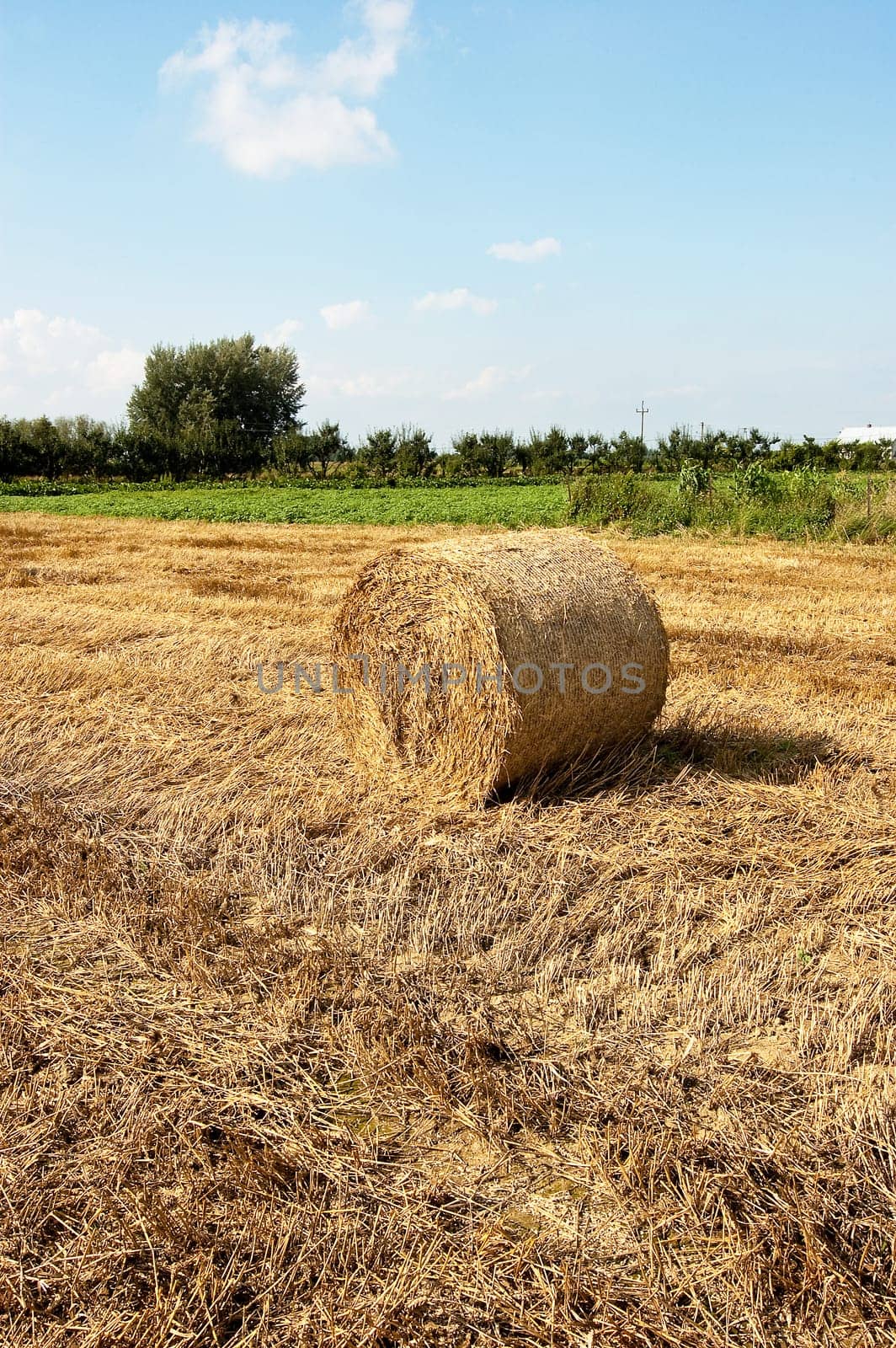 Landscape with blue cloudy sky and hay balls