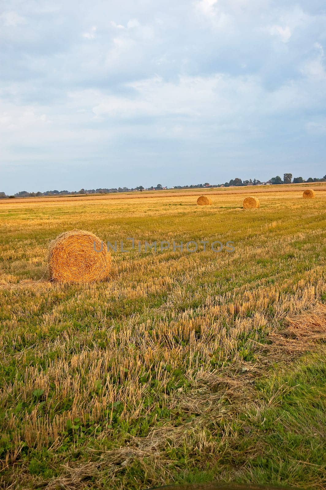 View of rolling balls at the setting sun