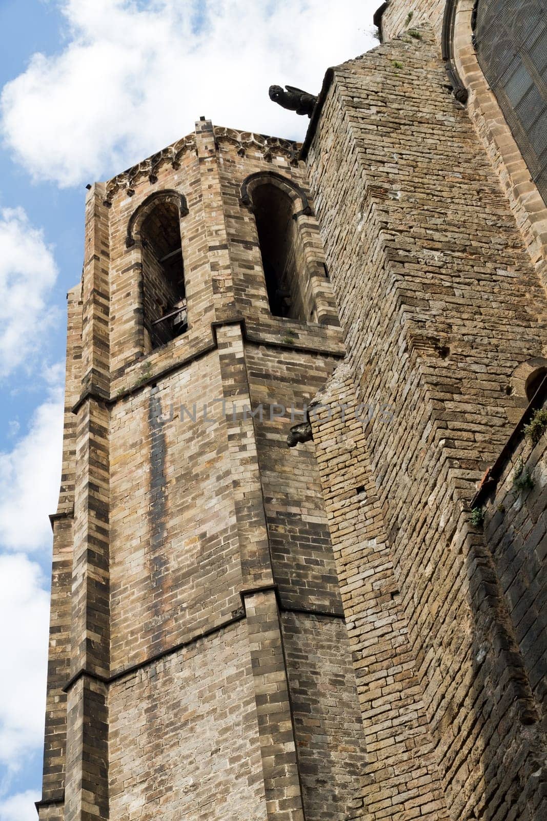 Gothic Barcelona Cathedral, side-octagonal tower, and one of the many gargoyles.