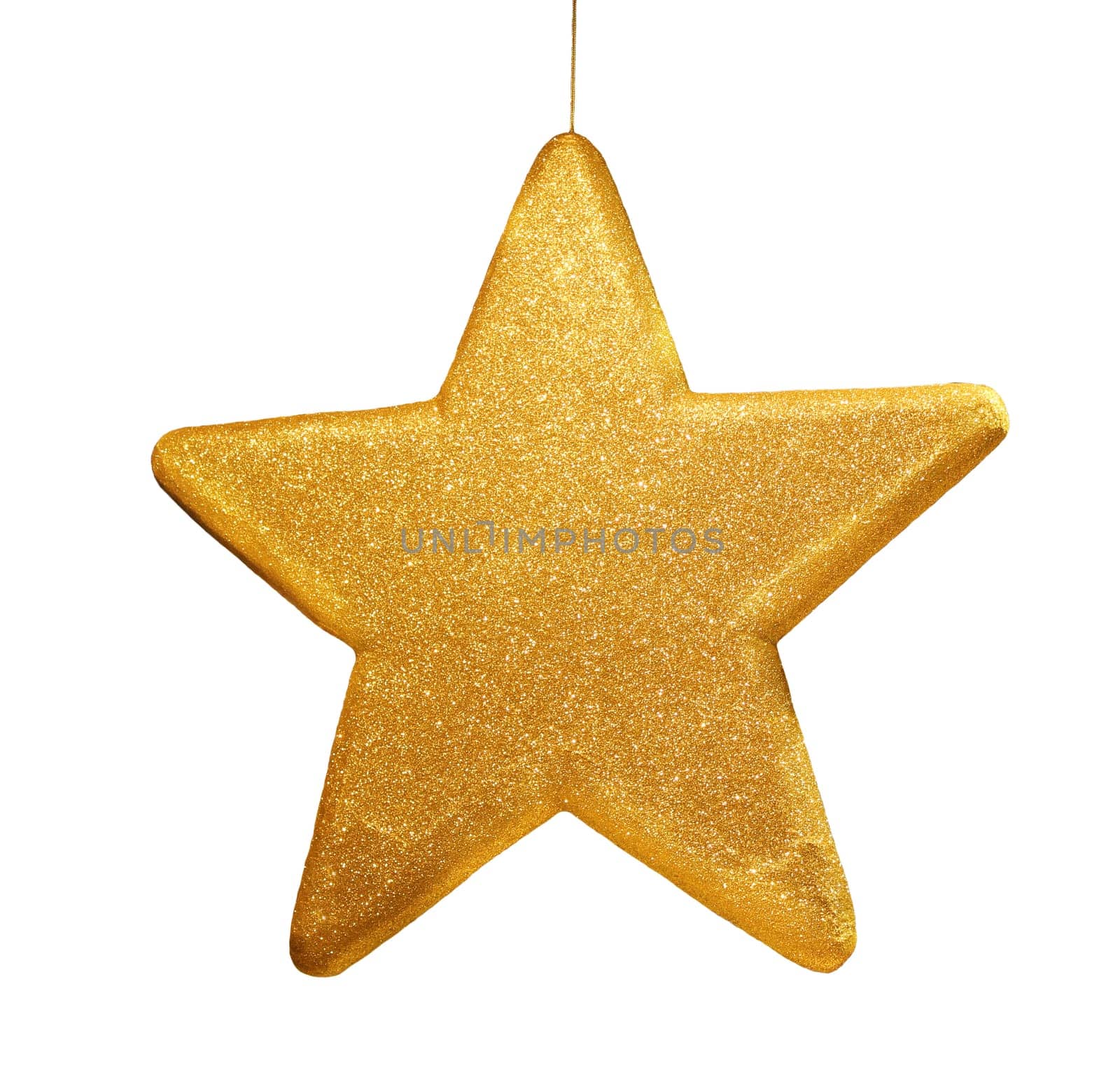 star without celebrity without bird without tree without starfish