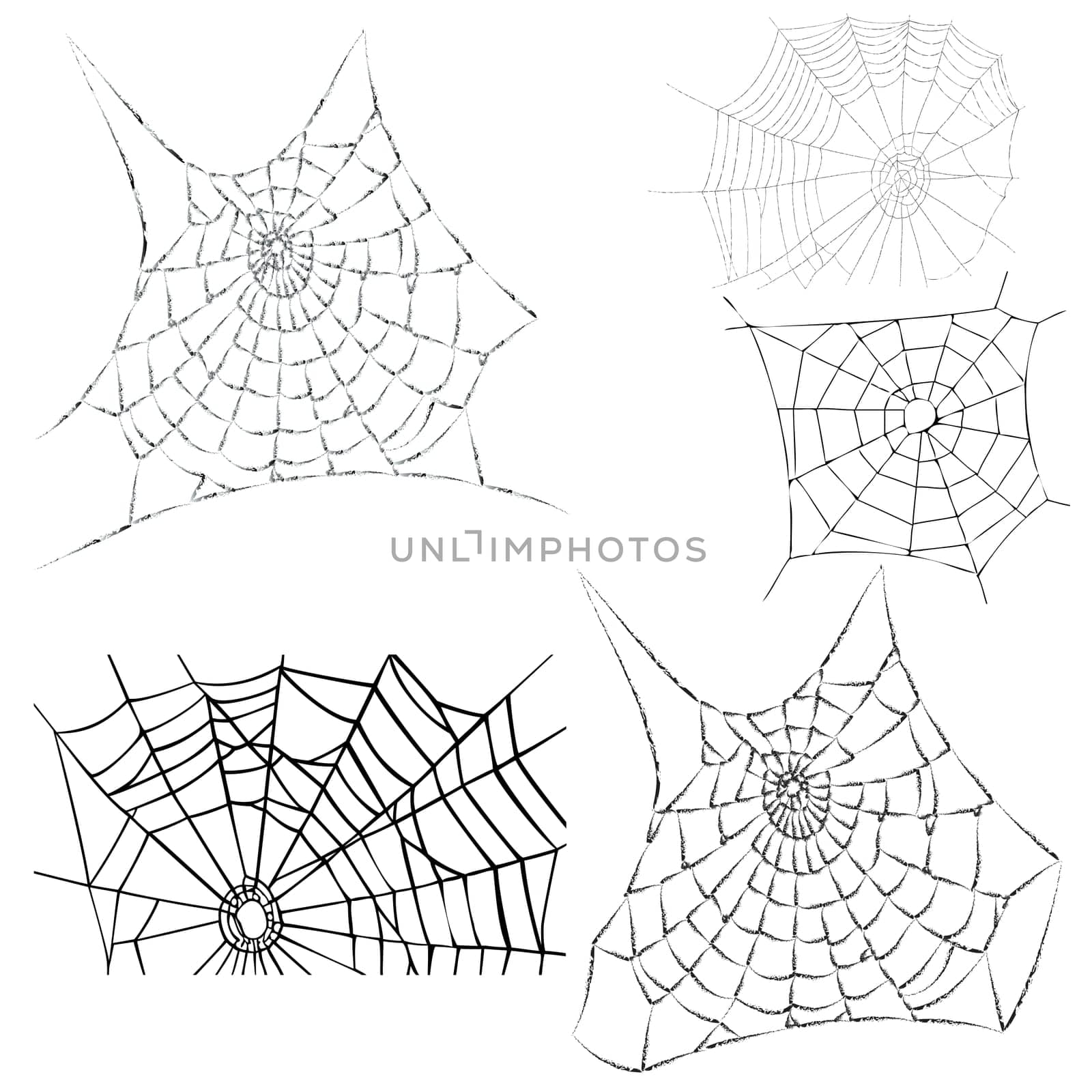 Abstract illustration various conwebs - spider webs