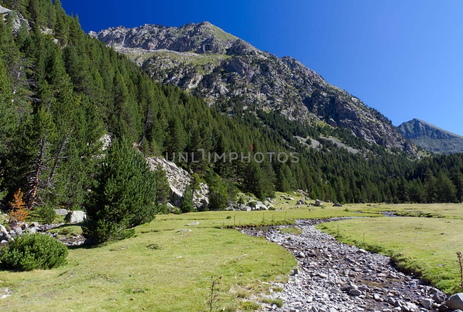 National Park Aiguestortes Estany Llong to 2000 m. high