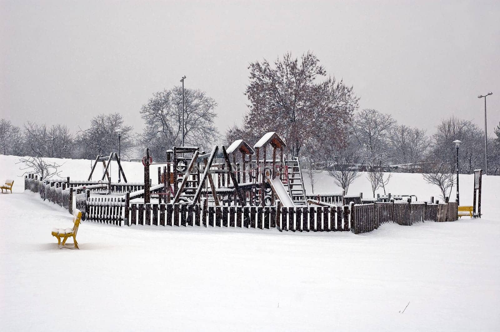 Winter scene of trees and the branch with the snow from the sky