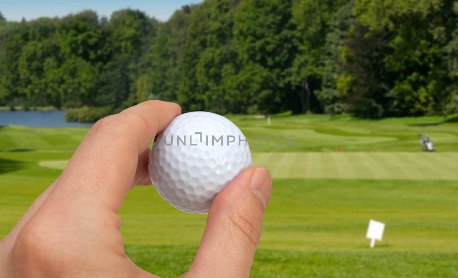 Hand Holding Golf Ball - Golf Green With Flag in Background