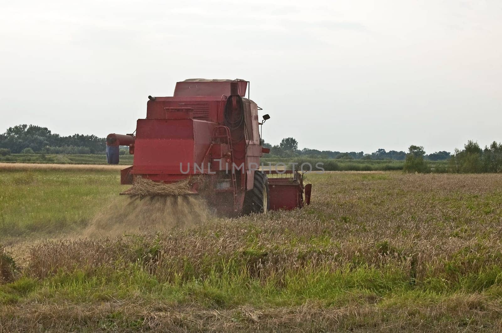 A combine harvester doing his work on a wheat field.