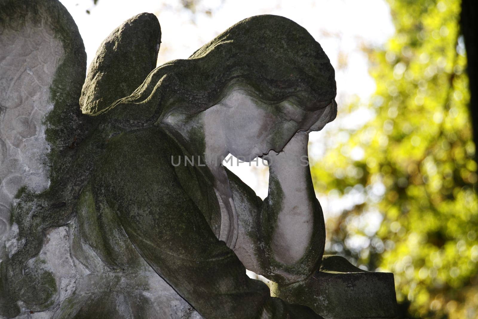 Stone Angel