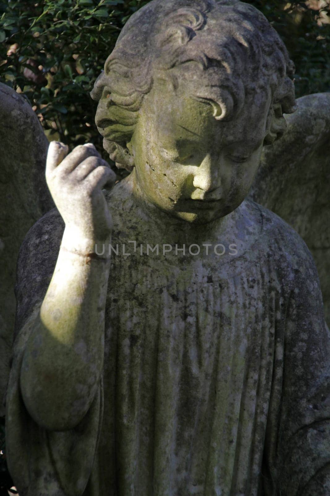 Slightly battered angel in a cemetery
