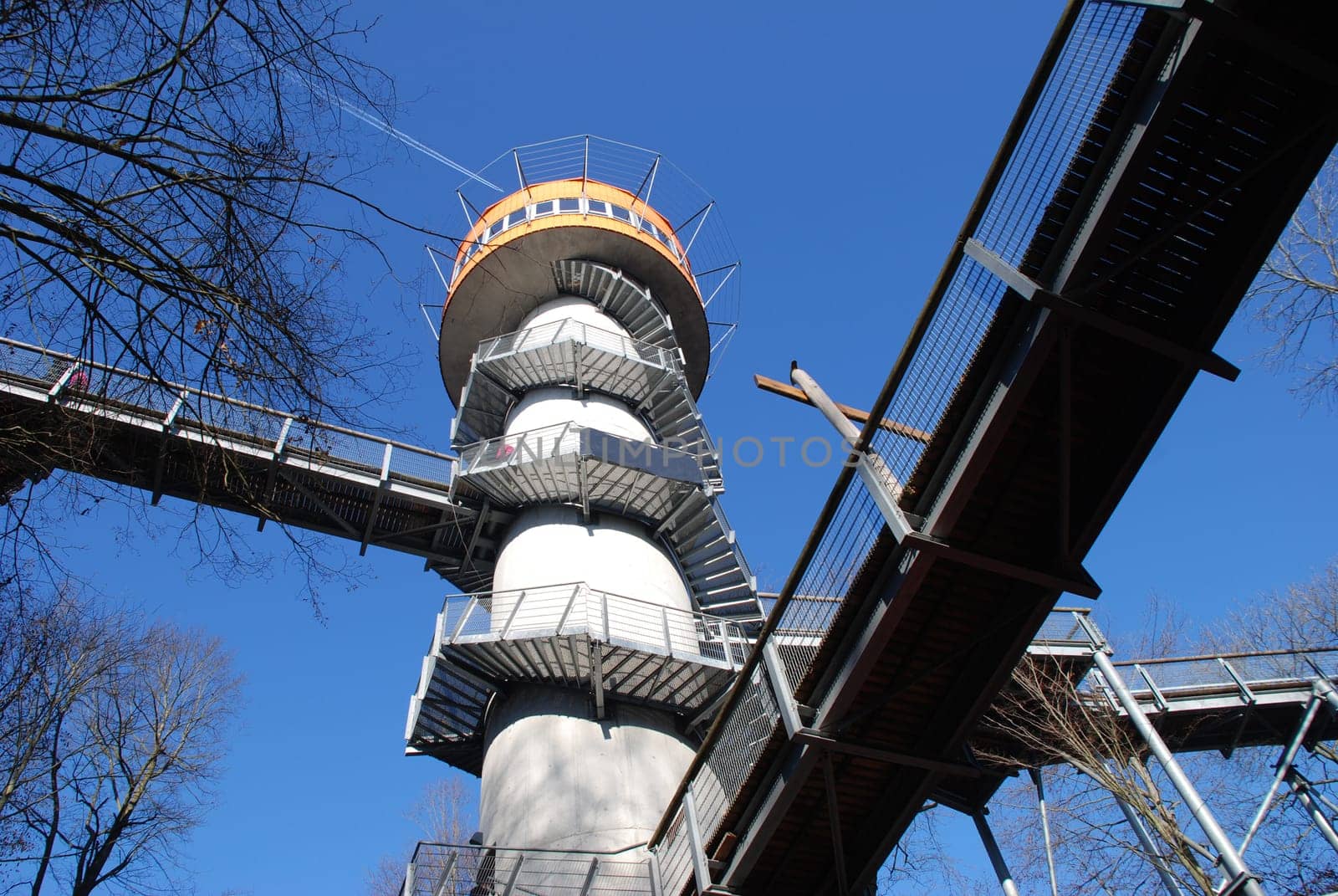 UNESCO World Heritage World Heritage Hainich Treetop Walk