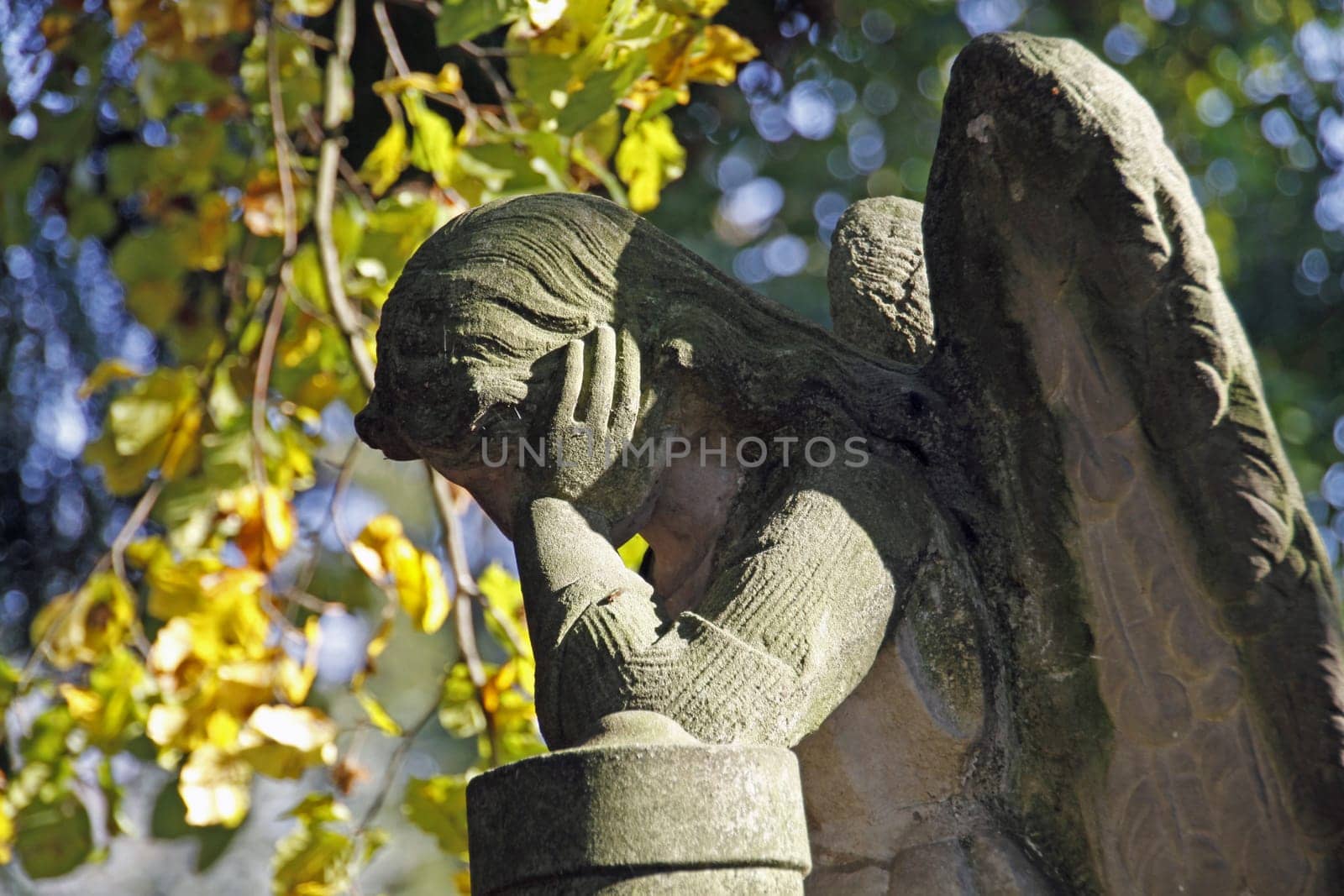 Stone Angel