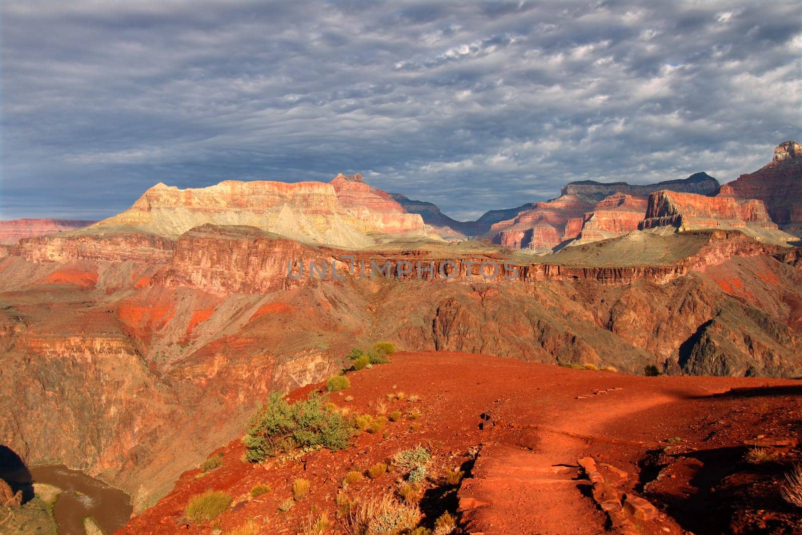 Early morning light illuminates the Grand Canyon in northern Arizona.