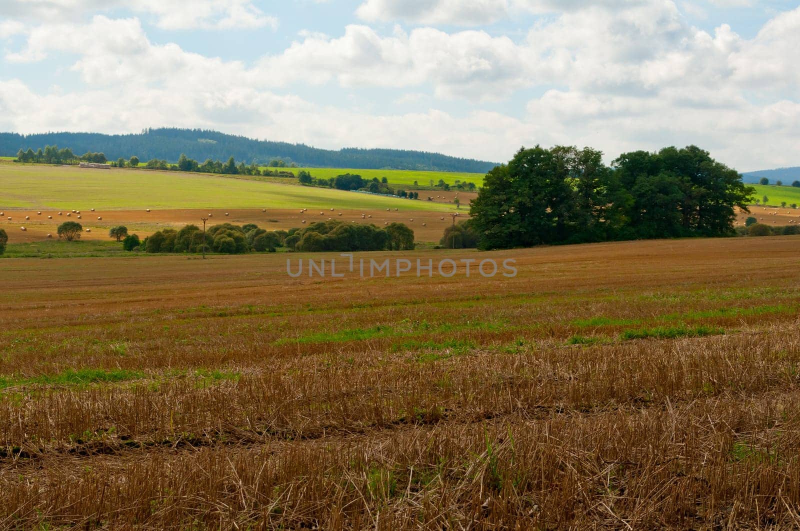 Rural Landscape - Harvested Agricultural Field and Blue Sky