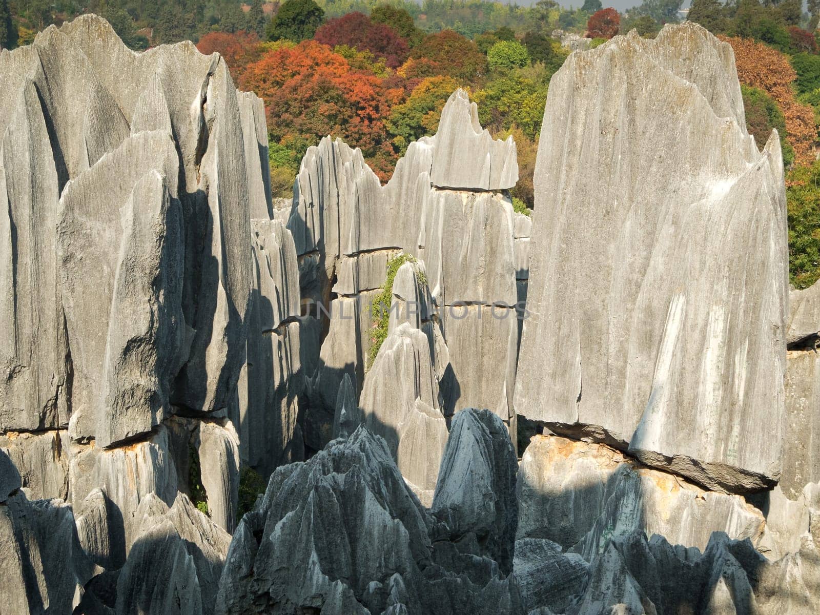 Shilin Stone Forest,Kunming,popular tourist destination in Yunnan Province,China