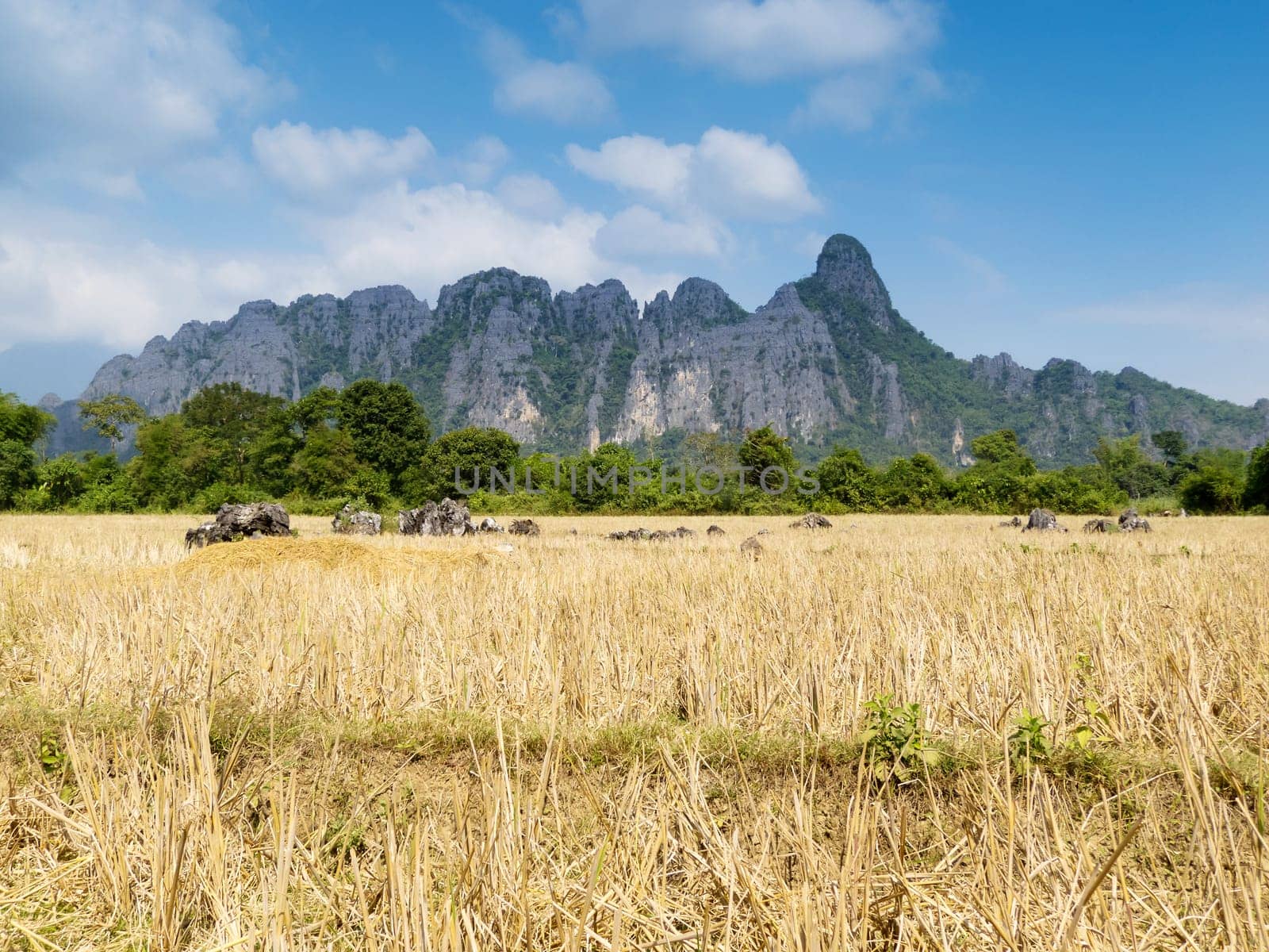 Vang Vieng Karst Mountains,Landscape of Laos with Dry Rice Field