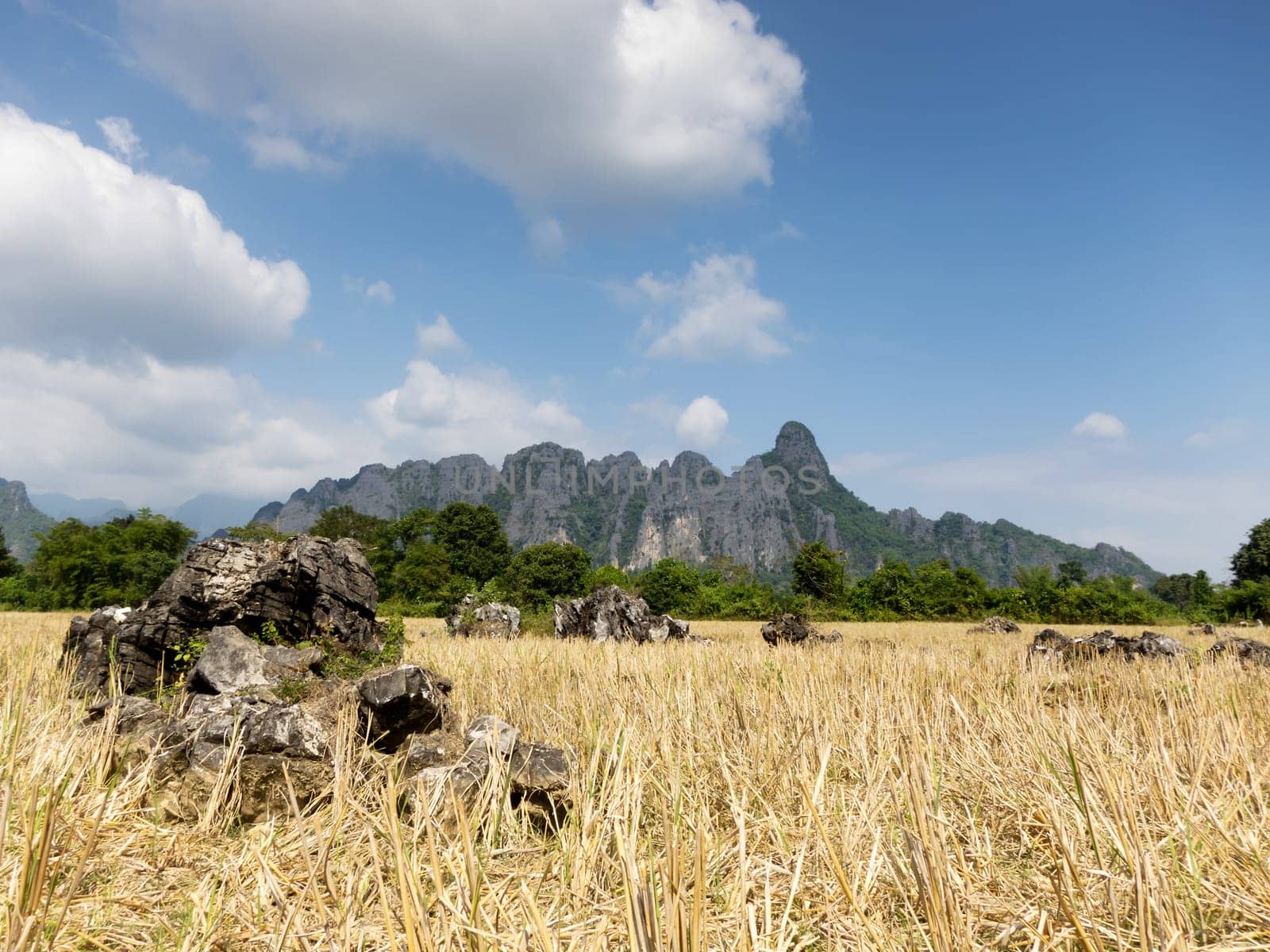 Vang Vieng Karst Mountains,Landscape of Laos with Dry Rice Field