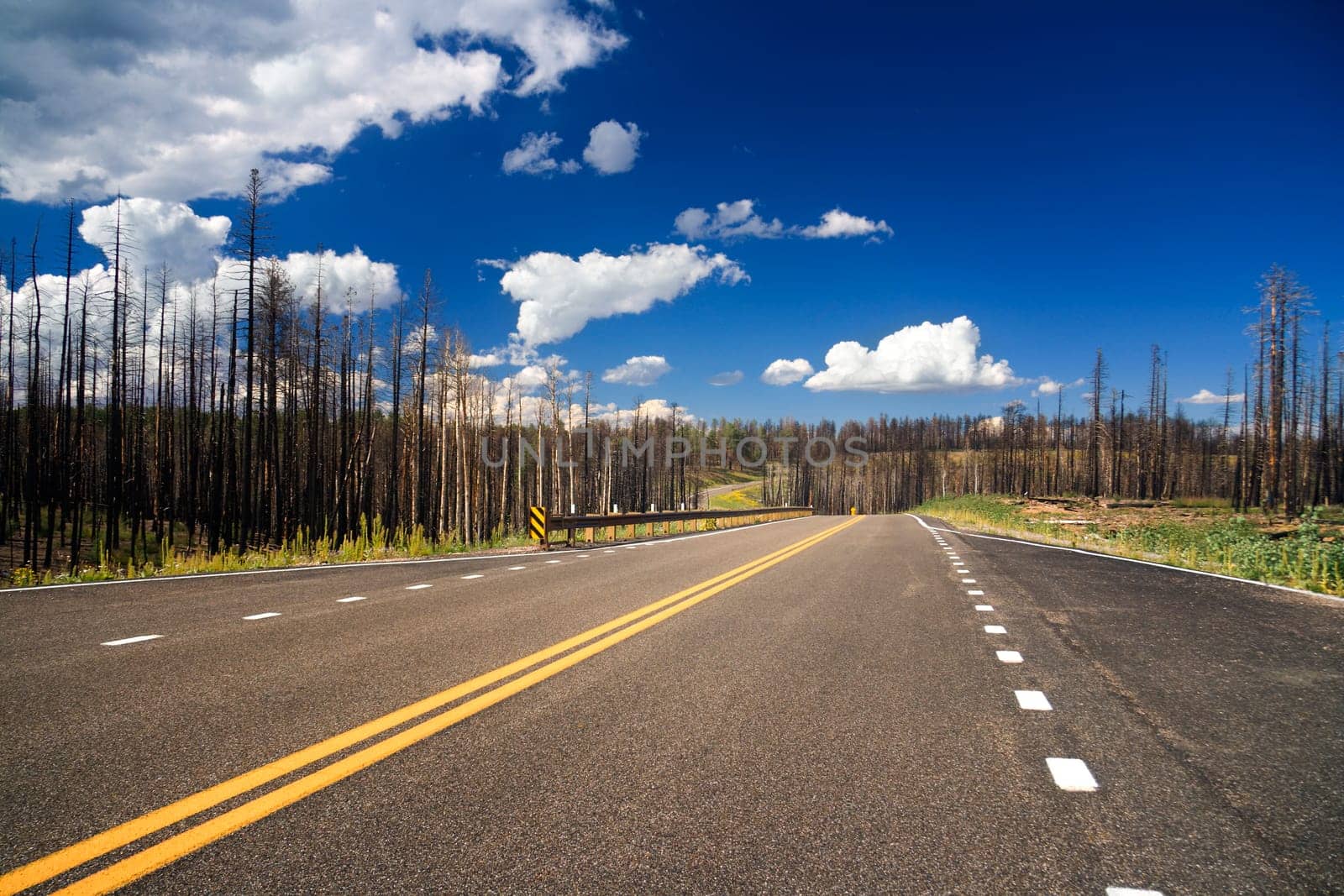 Road in Grand Canyon National Park, Arizona