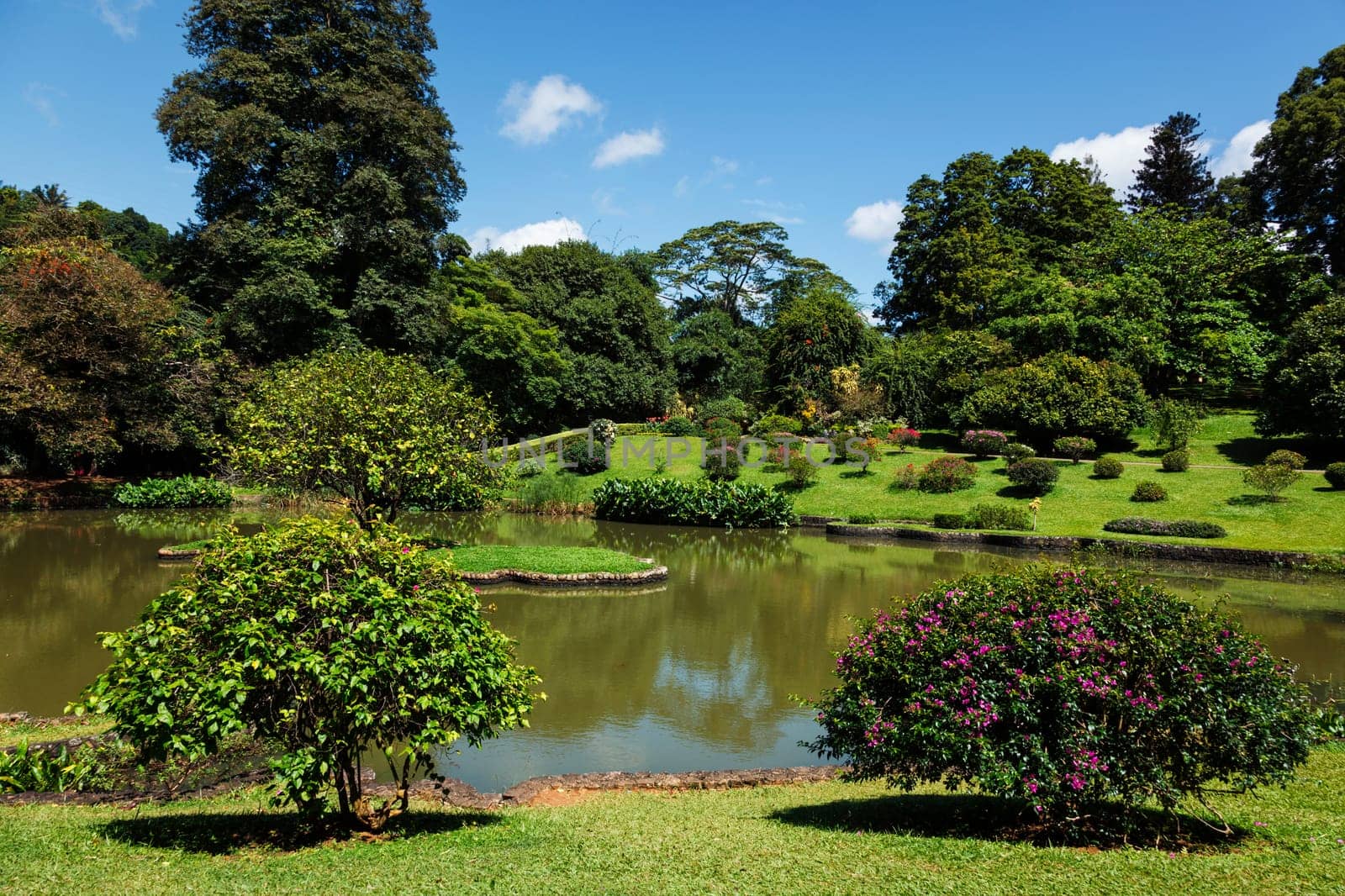 Peradeniya Royal Botanical Gardens in Kandy, Sri Lanka by dimol