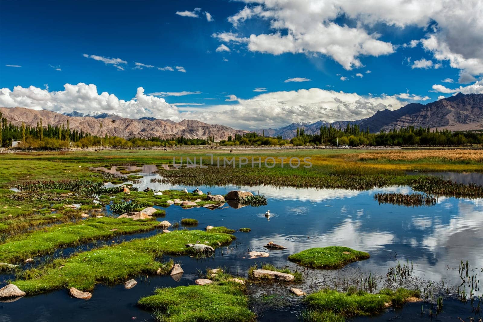 View of Indus valley from Shey palace. Ladakh, India