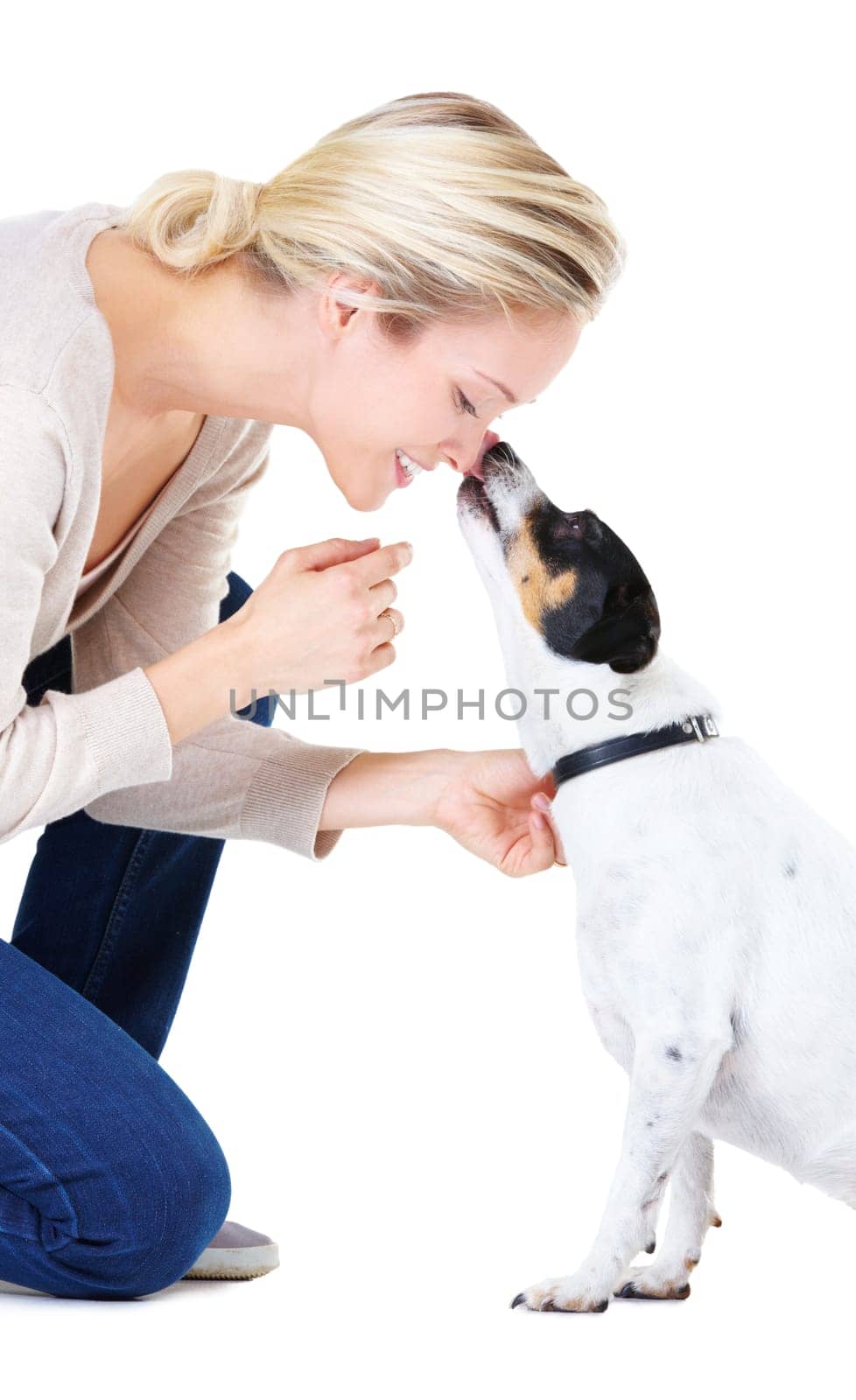 Woman, kiss and studio with jack russell dog for adoption, learning or care by white background. Girl, animal or pet puppy with bonding, training and kindness for loyalty, floor or domestic education by YuriArcurs