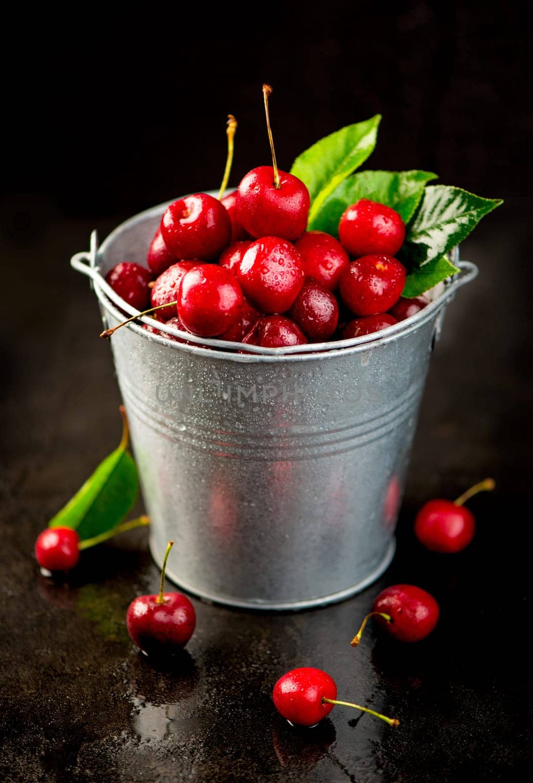 Harvesting sweet cherries. Cherry in a bucket. Cherry summer background. A large number of cherries with leaves on the table on a black background. by aprilphoto