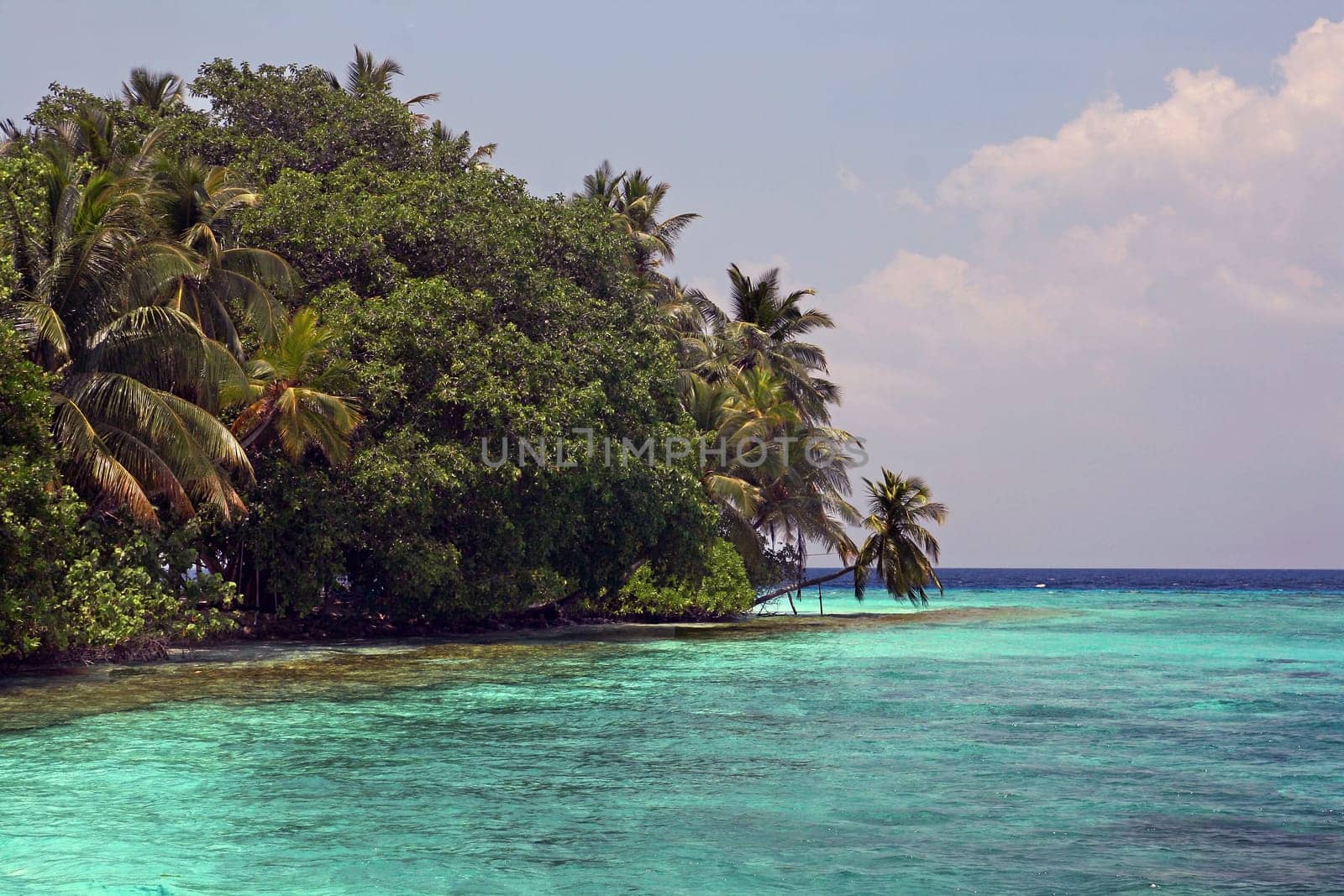 Maldives island with turquoise waters
